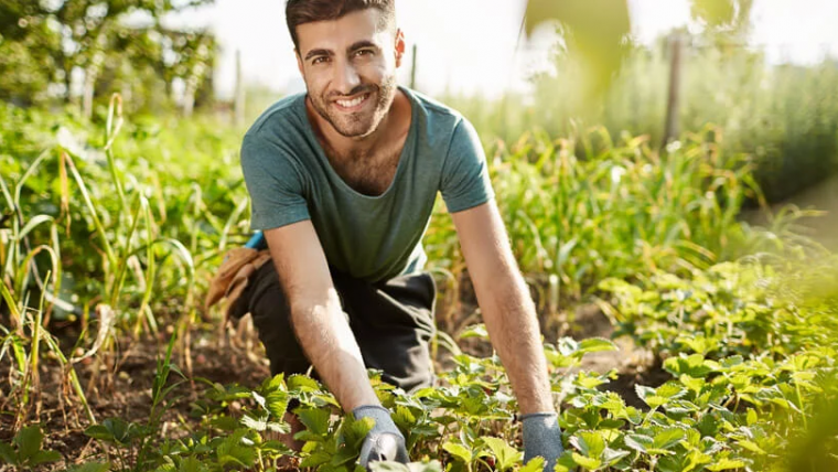 Operatore Agricolo